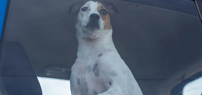 Car Lockout Solutions in Diamond Bar, California