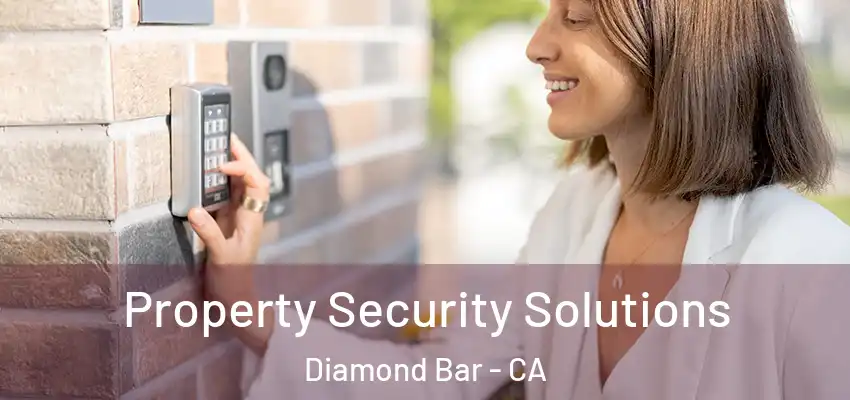  Property Security Solutions Diamond Bar - CA